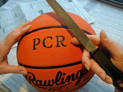 Dude! We’re going to file it!